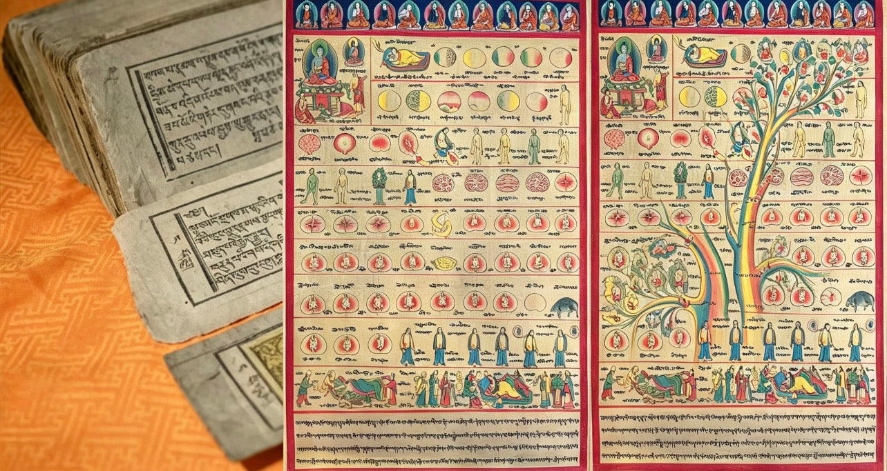 The Four Medical Tantras: World Memory Heritage &amp; Complete Millennium Tibetan Medical System