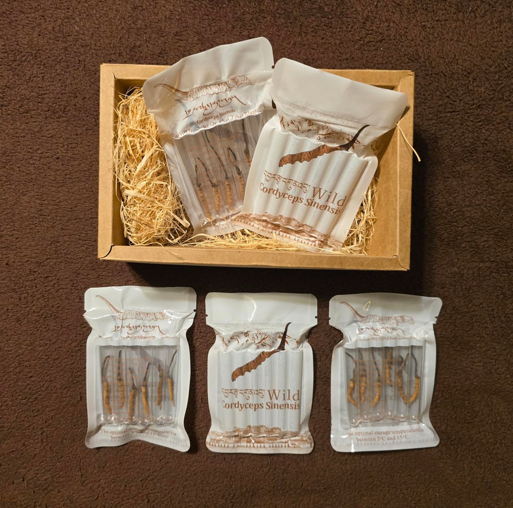 Cordyceps Sauvage Entier (30 pièces) | Séché Naturellement du Plateau Qinghai-Tibet à 4000m, Origine Tibétaine
