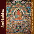 Hand-Painted Tibetan Thangka | Amitabha | Collectible Tibetan Art, Traditional Wall Decor for Home & Meditation Space