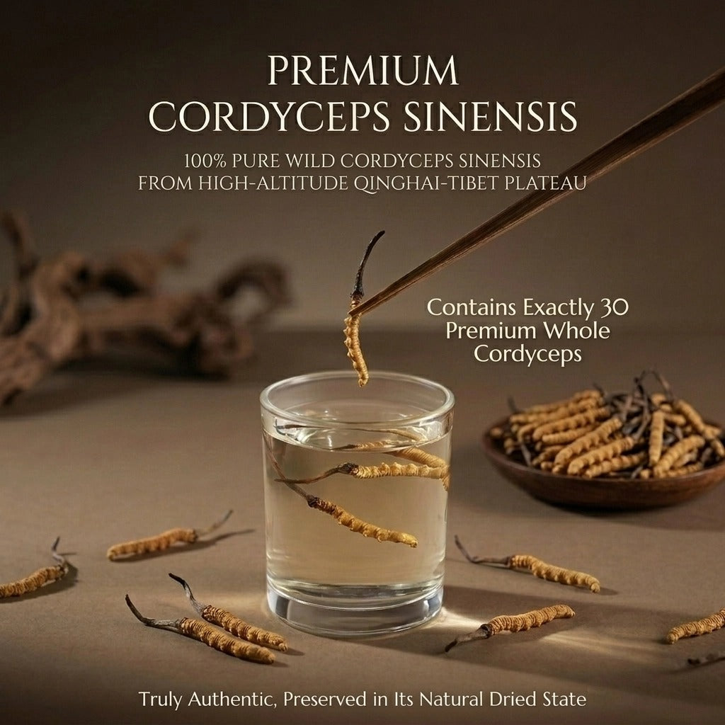 Cordyceps Sauvage Entier (30 pièces) | Séché Naturellement du Plateau Qinghai-Tibet à 4000m, Origine Tibétaine